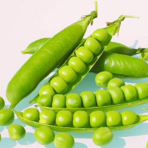 Fresh Peas