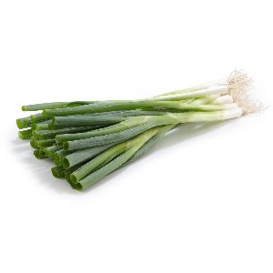 Fresh Spring Onion