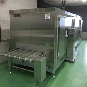 IQF Conveyor System