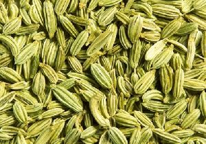 Fennel Seeds