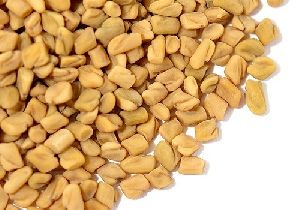 Fenugreek Seeds