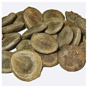 Nux Vomica Seeds