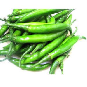 Fresh Green Chilli