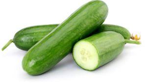 Fresh Cucumber