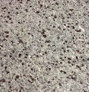 White Pearl Granite