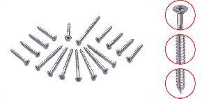 C.S.K. Phillips Self Tapping Wood Screws