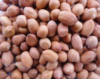 Groundnuts