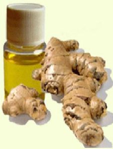 Ginger Oil