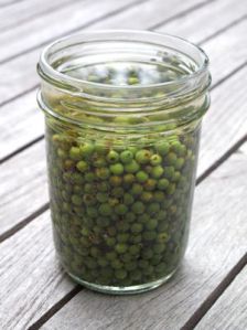 Green Peppercorn In Brine