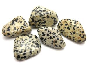Gemstone Dalmatian Jasper Healing Tumbled Stone