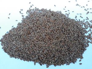 Flax Seeds