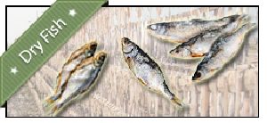 Dry Fish