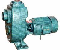 Mud Monoblock Pump