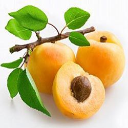 APRICOT KERNEL OIL