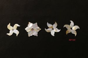 Mother Of Pearl Flowers 01