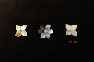 Mother Of Pearl Flowers 02