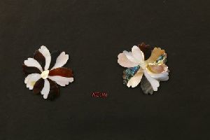 Mother Of Pearl Flowers 04