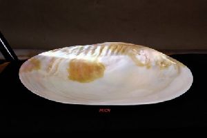 Raw Mother Of Pearl 05