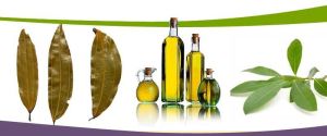 Organic Bay Leaf Oil