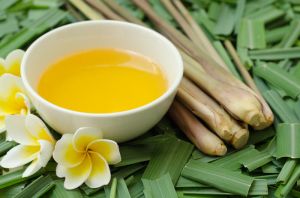 Organic Citronella Oil