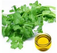 Organic Coriander Oil