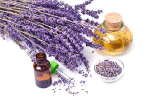 Organic Lavender Oil