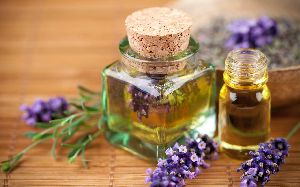 Organic Lavender Oil