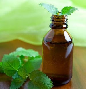 Organic Mint Oil