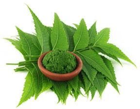 Organic Neem Extract