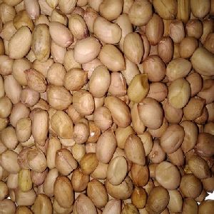 Groundnut Seeds