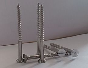 Stainless Steel Screws