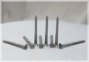 Wood Screw