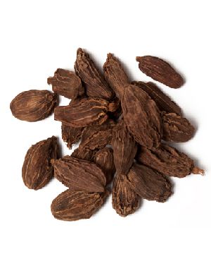 Black Cardamom