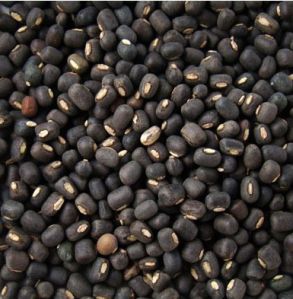 Urad Whole