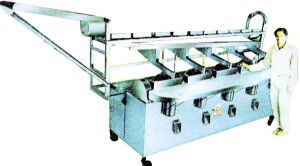 Lemon Grading Cutting Machines