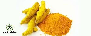 Turmeric Oil