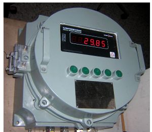 Flameproof Weigh scale