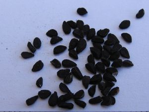 Black Cumin