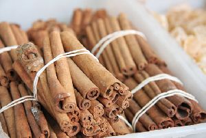 Cinnamon Stick