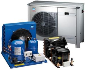 Cold Room Refrigeration Equipments