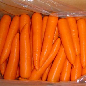 Fresh Carrot