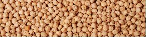 Kabuli Chickpeas