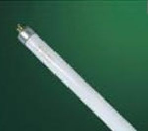 Fluorescent Lamp