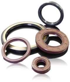 Oil Seal