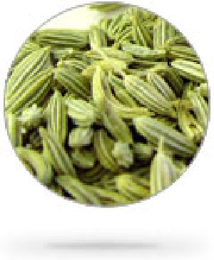 Fennel Seeds