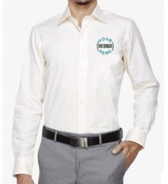 Embroidered Business Shirt