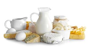 dairy ingredients