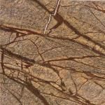 Rain Forest Brown Marble