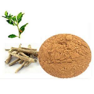 Ashwagandha Extract (Withania sominifera ) Withanolides 1.5%-10%