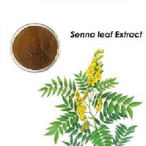 Senna ( Cassia angustifolia) Sennosides 10%-40%